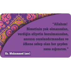 Hadisli Magnetler MGN7