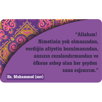 Hadisli Magnetler MGN7