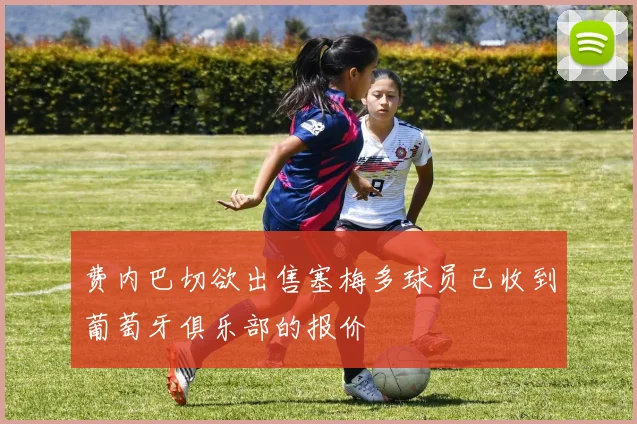 费内巴切欲出售塞梅多球员已收到葡萄牙俱乐部的报价
