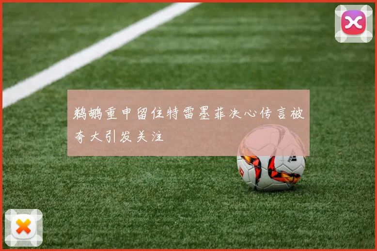 鹈鹕重申留住特雷墨菲决心传言被夸大引发关注